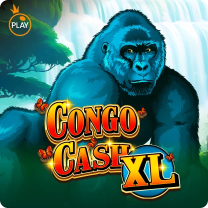 Congo Cash XL