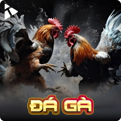 Đá gà