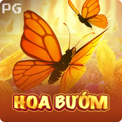 Hoa Bướm