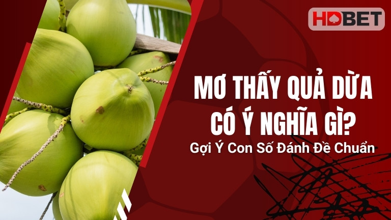 Mơ Thấy Quả Dừa Có Ý Nghĩa Gì? Gợi Ý Con Số Đánh Đề Chuẩn