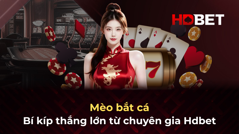 Mèo bắt cá – Bí kíp thắng lớn từ chuyên gia Hdbet