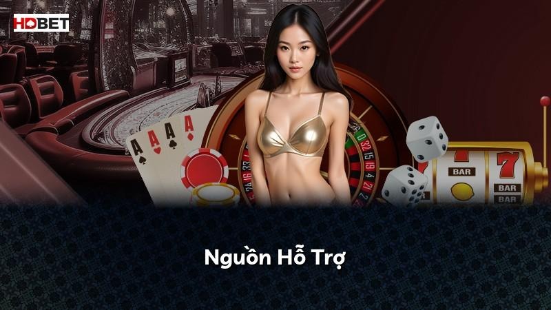 Nguồn Hỗ Trợ